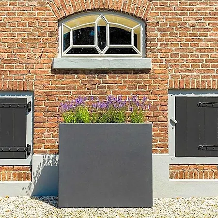 Affittacamere B&nb The Barnhouse Bergambacht