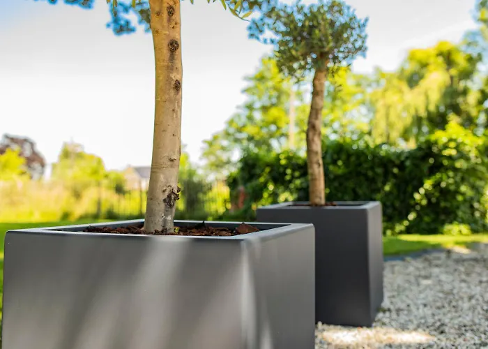 B&nb The Barnhouse 3*